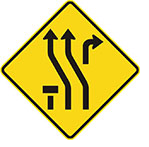 K53 LEARNER LICENCE